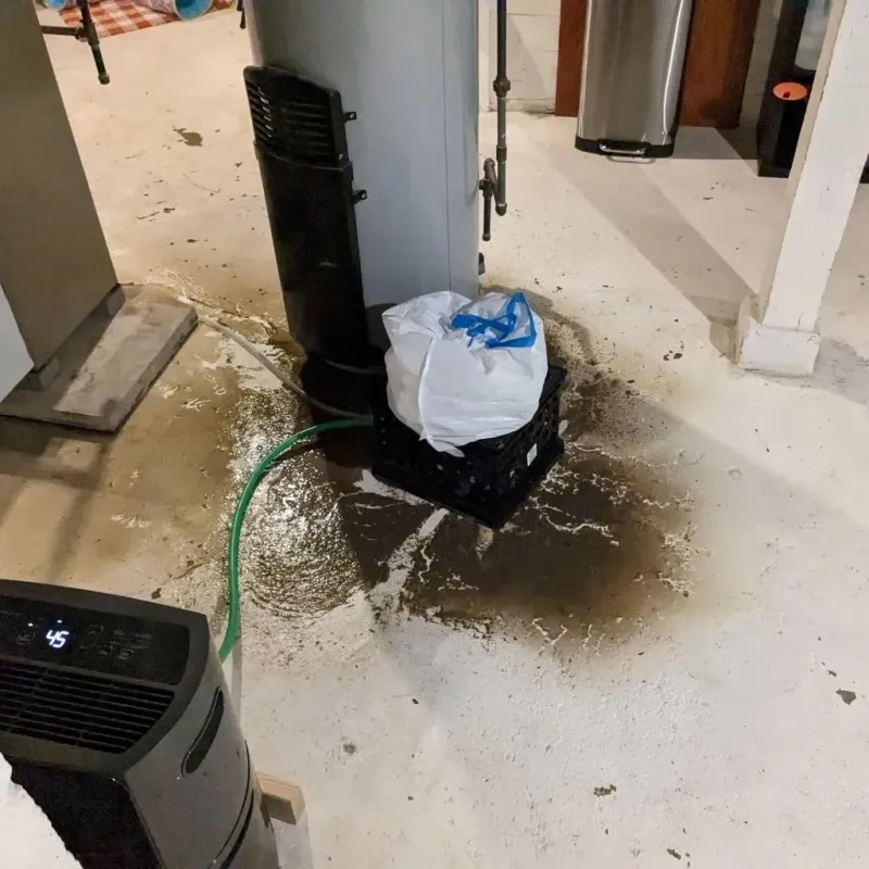 Sewage Backup Cleanup Service in Selmont-West Selmont, AL